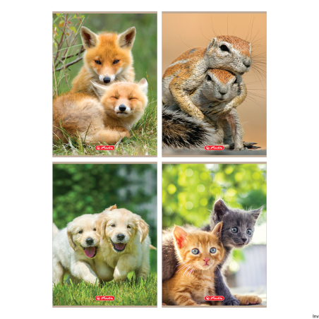 Zeszyt A4 32 kartki kratka Animals Herlitz