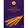 Kalka ołówkowa A4 25 arkuszy Koh-i-noor KAL-OL425D