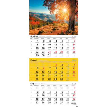 Kalendarz trójdzielny 2025 Michalczyk i Prokop T-106T-12