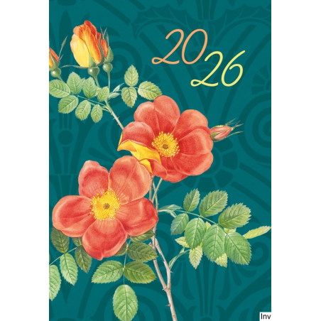 Kalendarz tygodniowy Mikro 2023 69x99 mm Michalczyk i Prokop, 64 strony, oprawa zeszytowa, papier kremowy