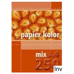 Papier xero A4 250 g/m2 mix...