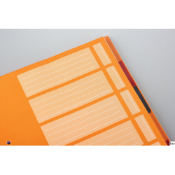 Kołonotatnik A4 80 kartek kratka z teczką Oxford Organiserbook International 100102777