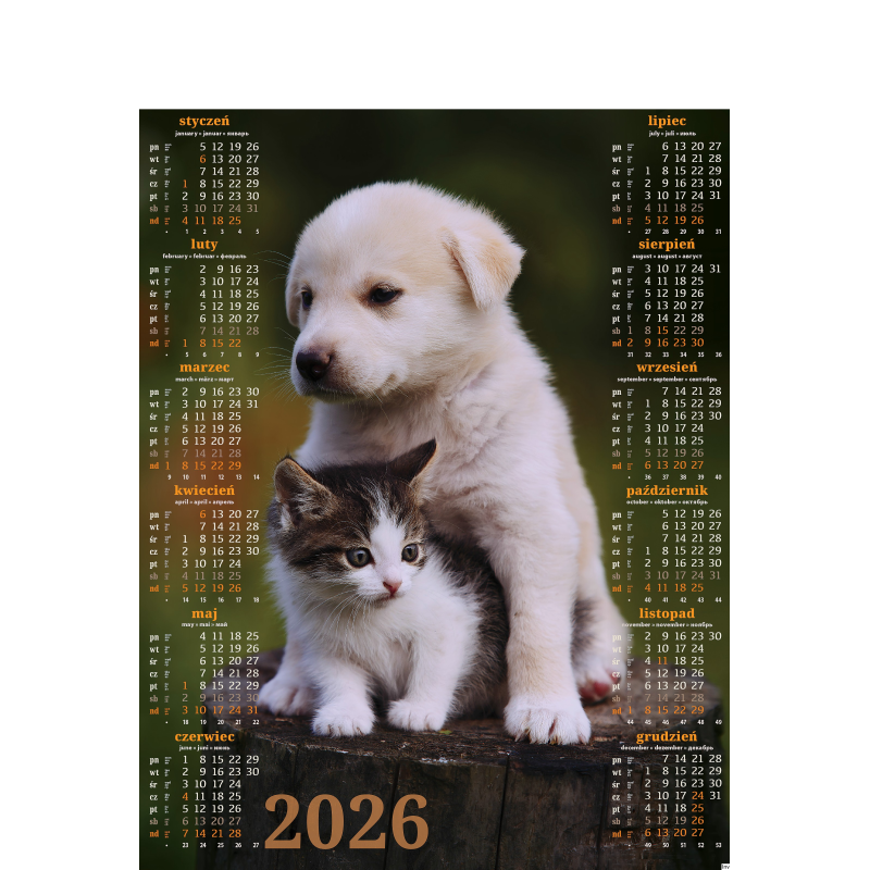 Kalendarz Plakatowy Kot 2026 B-1 P18 Telegraph