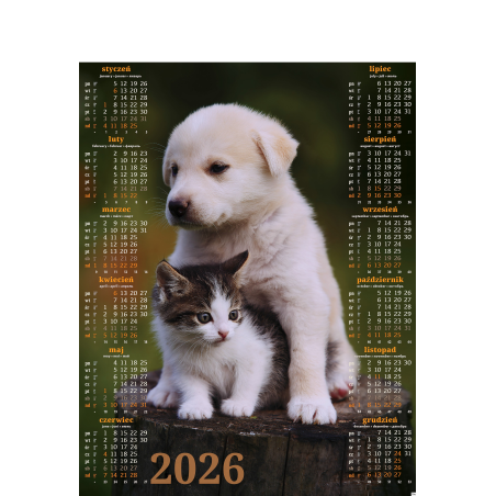 Kalendarz Plakatowy Kot 2026 B-1 P18 Telegraph