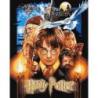 Malowanie po numerach IDEYKA, 40x50cm, metallic, Harry Potter: Plakat, 1 szt.