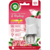 Air Wick Odświeżacz Elektryczny Róża z Maliną 19 ml