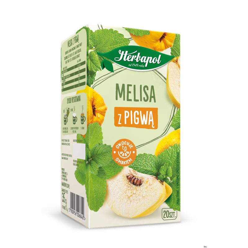 Herbata Herbapol Zielnik Polski Melisa z pigwą 20 torebek 35 g
