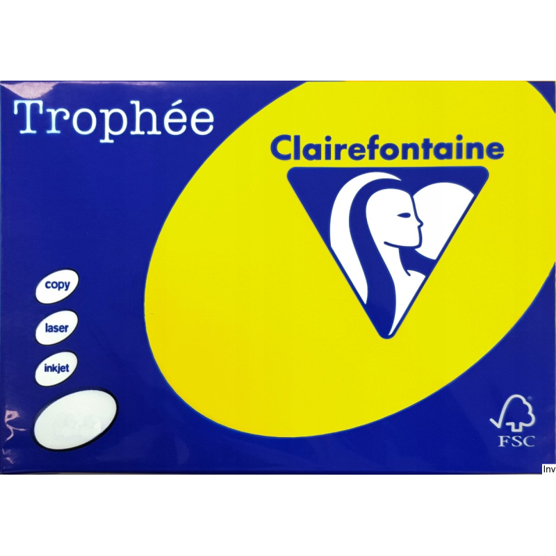 Papier Xero A4 160g 1029 Słoneczny TROPHEE 250 arkuszy Emerson