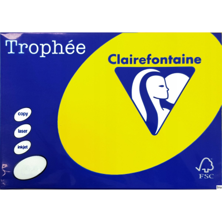 Papier Xero A4 160g 1029 Słoneczny TROPHEE 250 arkuszy Emerson
