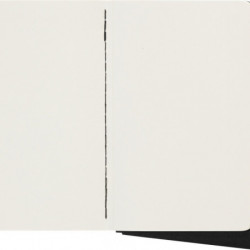 Zestaw 3 Zeszytów MOLESKINE Cahier Journals P (9x14cm) gładki, 64 strony, czarny
