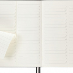 Notes MOLESKINE PRO Project Planner XL (19x25 cm) twarda oprawa, czarny