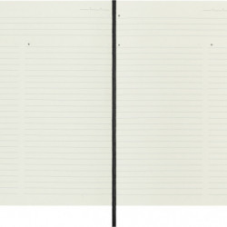 Notes MOLESKINE PROFESSIONAL L (13x21 cm), miękka oprawa, 192 strony, czarny