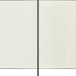 Notes MOLESKINE PROFESSIONAL L (13x21 cm), twarda oprawa, 240 stron, czarny