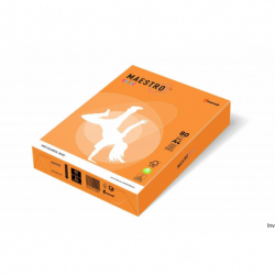 Papier xero Maestro Color...