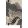 Zestaw kreatywny MOLESKINE 2026 Horse: notes Calligraphy + Japanese Album + Kaweco + Washi