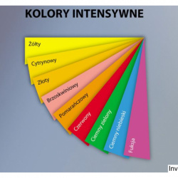 Papier ksero A4 160g żółty...