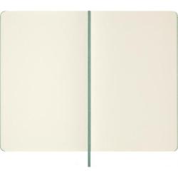 Notes MOLESKINE 2026, L, 13x21cm, gładki, twarda oprawa, Sage Green