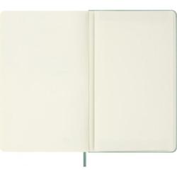 Notes MOLESKINE 2026, L, 13x21cm, gładki, twarda oprawa, Sage Green