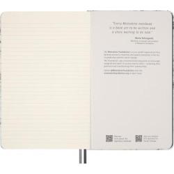 Notes MOLESKINE NASA, L, w linie