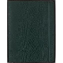 Notes MOLESKINE Pro, edycja limitowana Boa Synthetic, XL, w linie, zielony, box