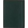 Notes MOLESKINE Pro, edycja limitowana Boa Synthetic, XL, w linie, zielony, box