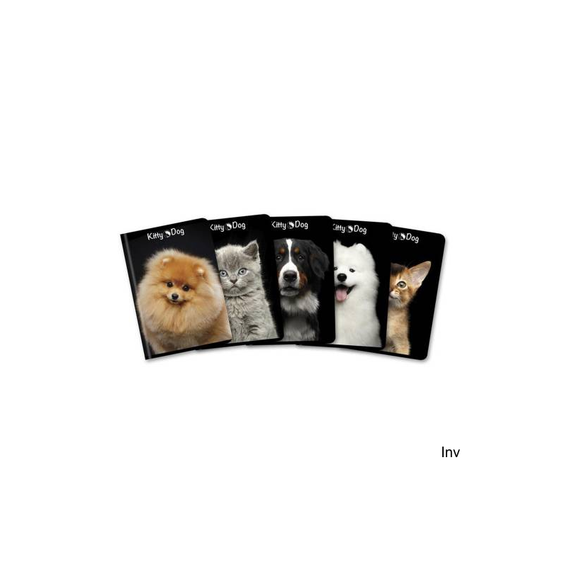Brulion A4 96 kartek kratka z marginesem KITTY & DOG Top 2000
