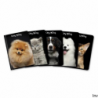 Brulion A4 96 kartek kratka z marginesem KITTY & DOG Top 2000