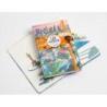 Notes MOLESKINE edycja limitowana Los Angeles, L, w linie