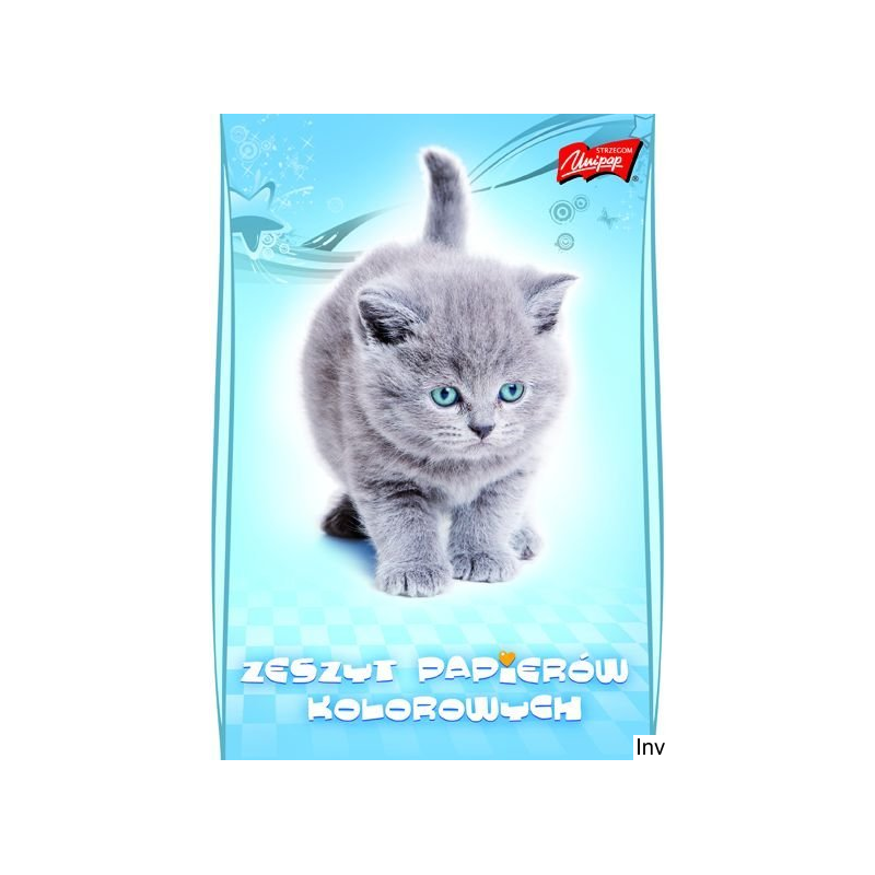 Zeszyt A4 nabłyszczany 10 kartek kolorowych 90 g/m2 St.Majewski