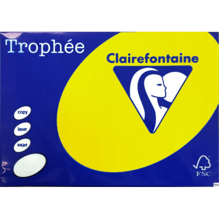 Papier Xero A4 160g 1029 Słoneczny TROPHEE 250 arkuszy Emerson