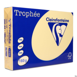 Papier xero A4 160g kremowy...