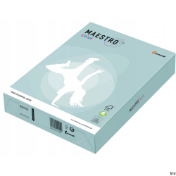 Papier A4 160 g jasny...