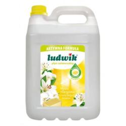 Płyn uniwersalny LUDWIK,...