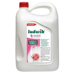 Płyn do naczyń LUDWIK, 5kg,...