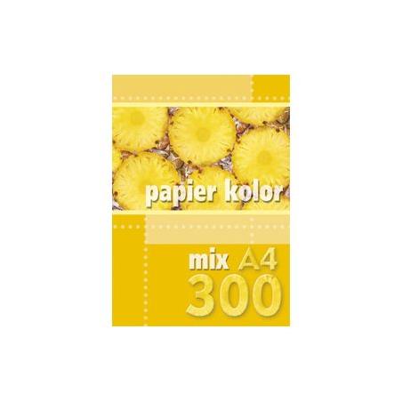 Papier xero A4 300 g/m² mix Kreska 250 sztuk
