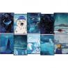 Zeszyt Top 2000 WINTER SAILOR A5 32 kartki 70g linia z marginesem
