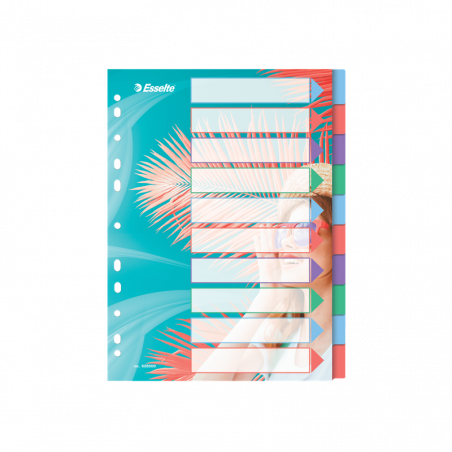 Esselte Przekładki Colour Breeze PP A4, 10 sztuk