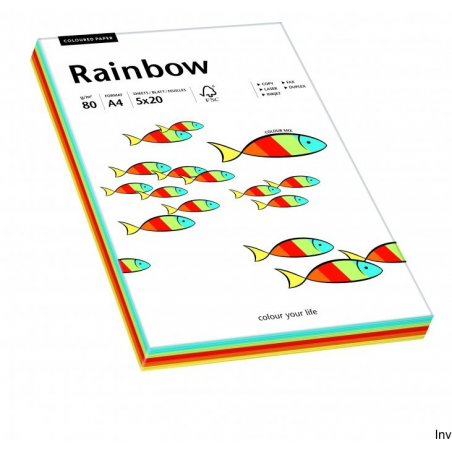 Papier kolorowy Rainbow mix intensywny A4 80 g 100 arkuszy (5 kolorów)