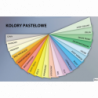 Papier ksero A4 80 g szary 500 sztuk Emerson