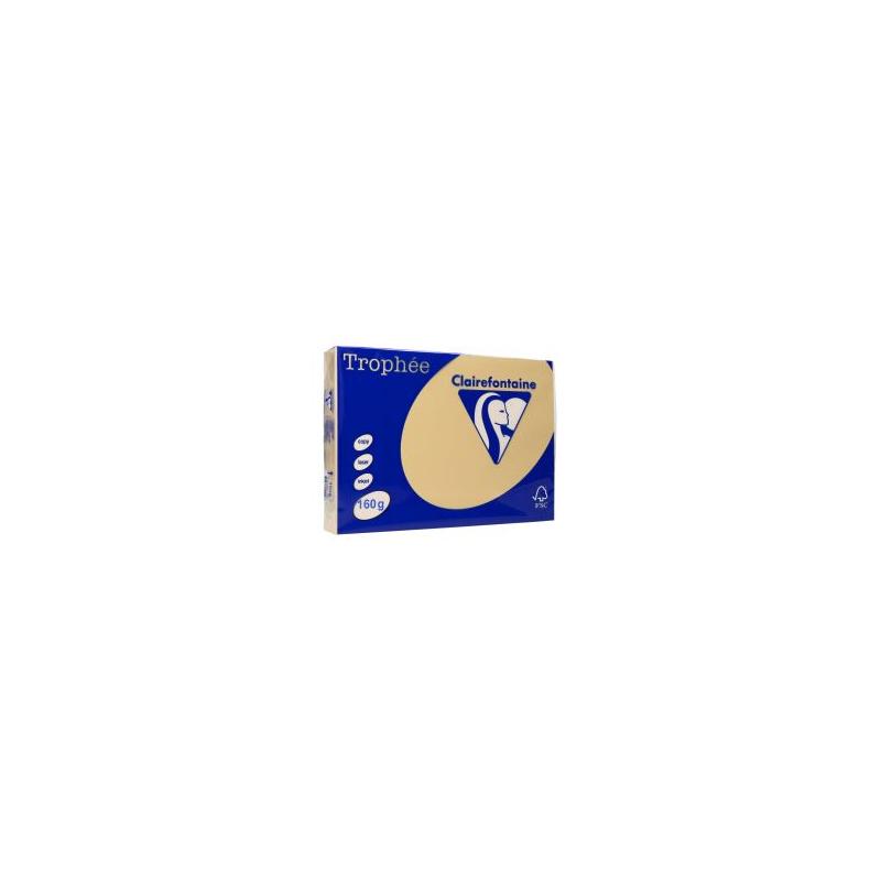 Papier xero Trophee A4 160g/m2 brąz wielbłądzi 250 arkuszy