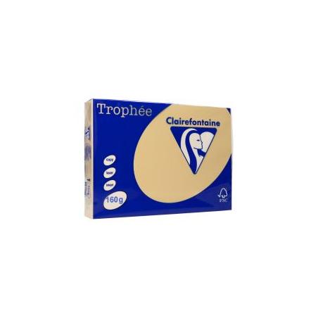 Papier xero Trophee A4 160g/m2 brąz wielbłądzi 250 arkuszy