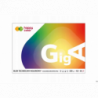 Blok techniczny A2 220g kolorowy 10 arkuszy Happy Color