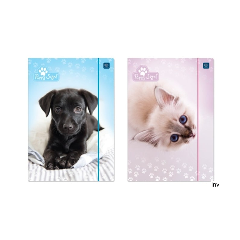 Teczka z gumką A4+ LUX UV Puppy Sign 5406 Interdruk