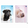 Teczka z gumką A4+ LUX UV Puppy Sign 5406 Interdruk