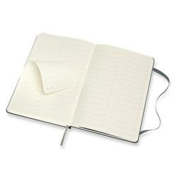 Notes MOLESKINE Professional L (13x21 cm), twarda oprawa, forest green, 240 stron, zielony