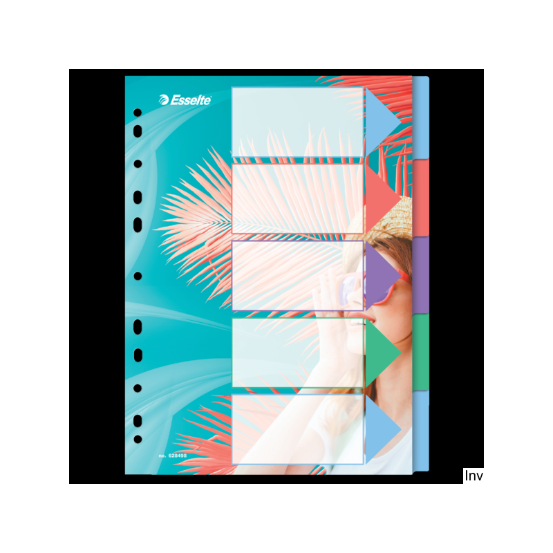 Przekładki ColourBreeze PP A4, 5 przekładek Esselte 628498 - 1