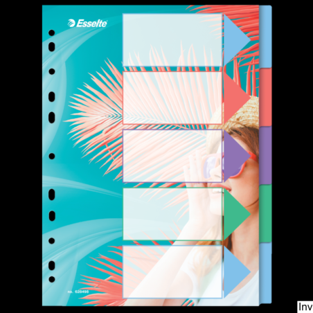 Przekładki ColourBreeze PP A4, 5 przekładek Esselte 628498 - 1