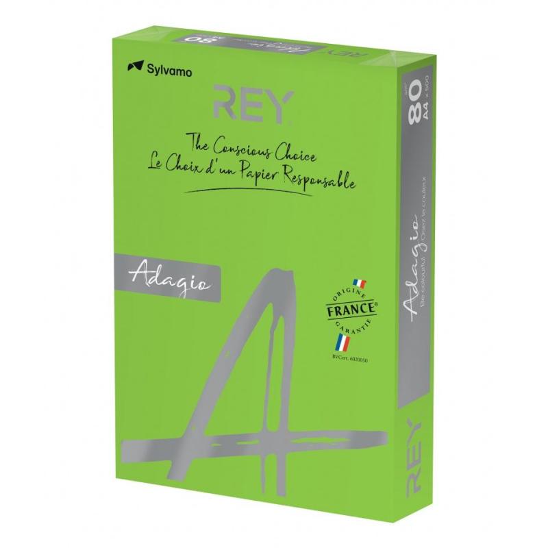 Papier ksero REY ADAGIO, A4, 80gsm, 52 ciemny zielony intense *RYADA080X433 R200 - 1