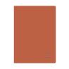 Zeszyt B5 96 kartek kratka Rainbow Classic Herlitz