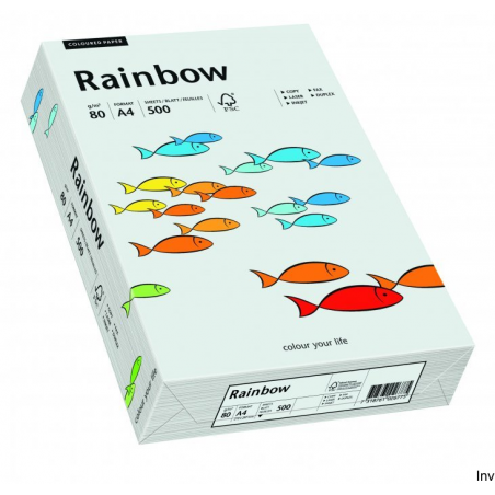 Papier kolorowy Rainbow jasnoszary A4 80 g 1 ryza